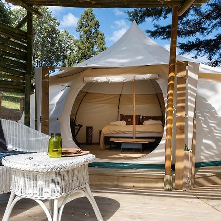 Hotel Kerikeri Glamping Exterior foto