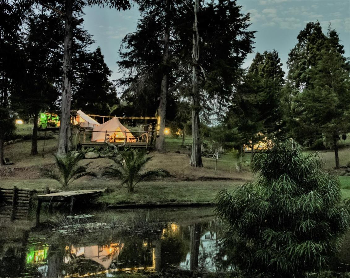 Hotel Kerikeri Glamping Exterior foto