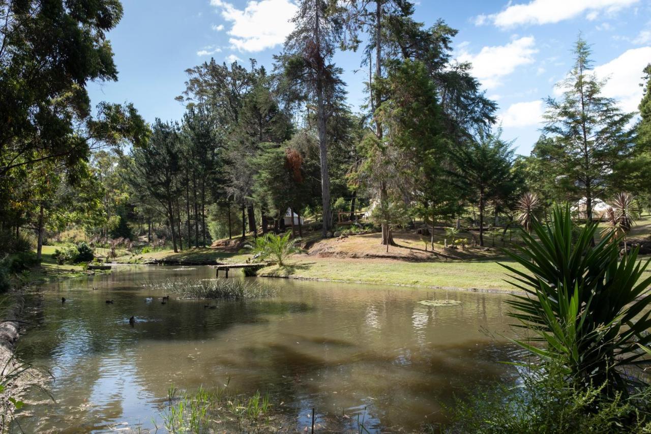 Hotel Kerikeri Glamping Exterior foto